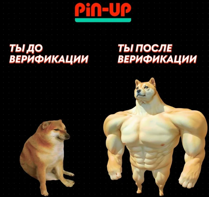 Pin-Up официальный сайт мобильная версия удобство, скорость и доступность