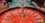 Exploring the World of Casinos Not on Gamstop 445